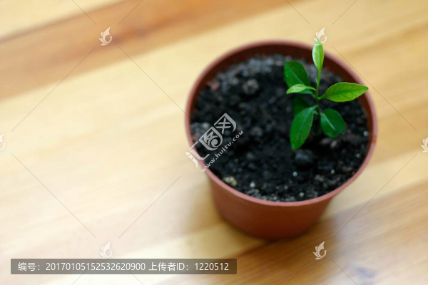 新的生活