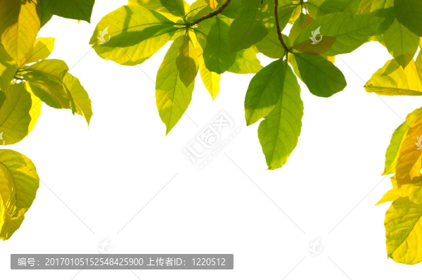 扇框
