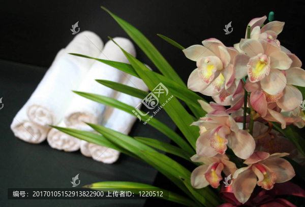 蘭花和毛巾-水療和美容