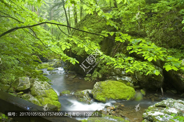 jw_025_056_05