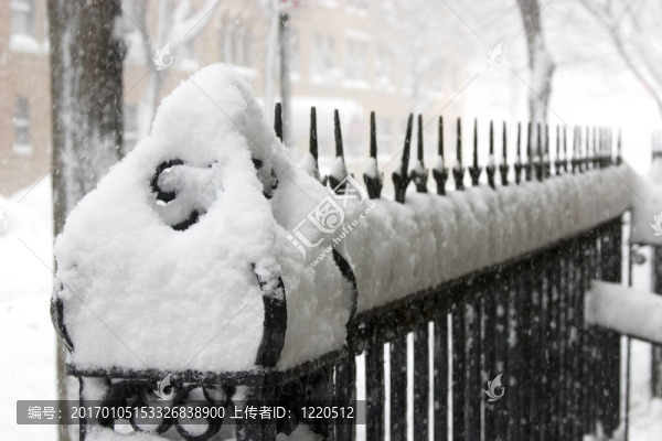 雪下的籬笆
