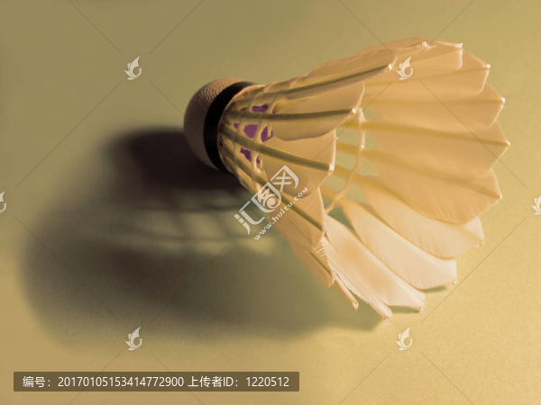 羽毛球和陰影