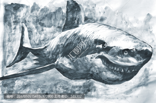 手繪鯊魚插畫