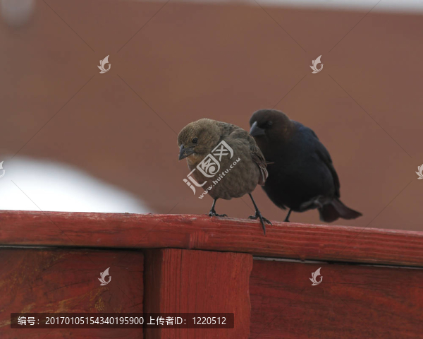 危險(xiǎn)的背后
