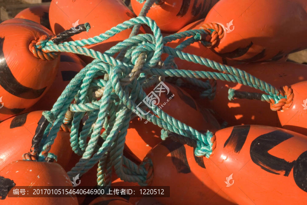 糾結(jié)的花車