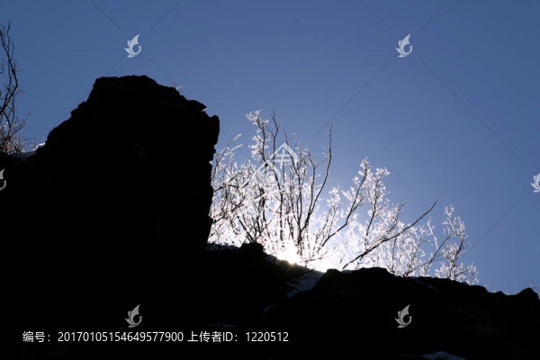 寒冷的早晨