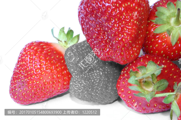 草莓的棄兒