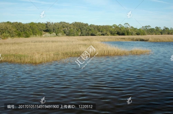 海灣草地1