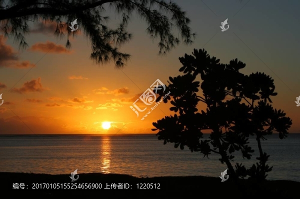 熱帶系列35