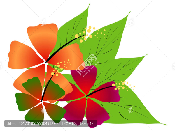 熱帶的軟硬件平臺(tái)及動(dòng)態(tài)網(wǎng)絡(luò)體系