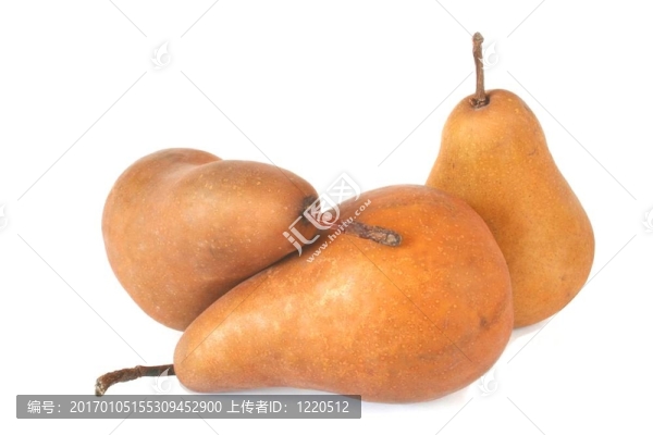 博斯克梨