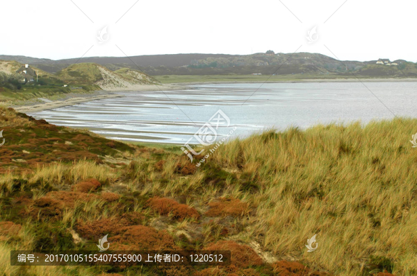 tideland2