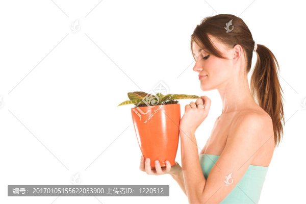 商人441
