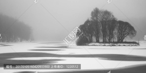 公園里的霧