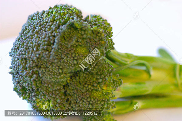 西蘭花