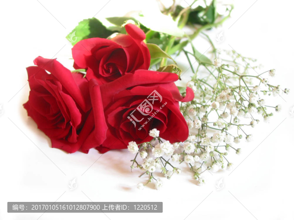 白色玫瑰花束