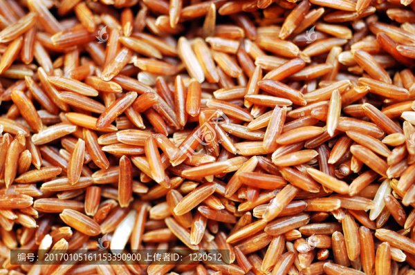 Brown,Rice顆粒