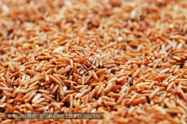 Brown,Rice顆粒