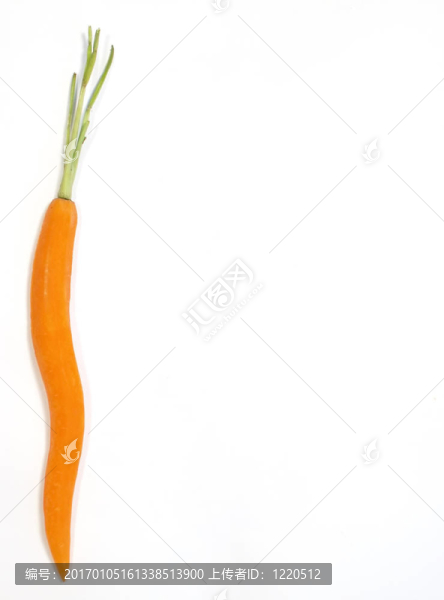 胡蘿卜