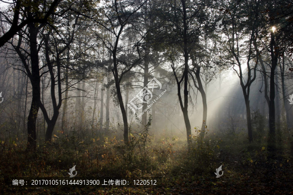 秋天的公園