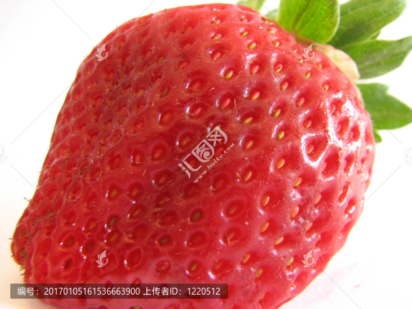 草莓