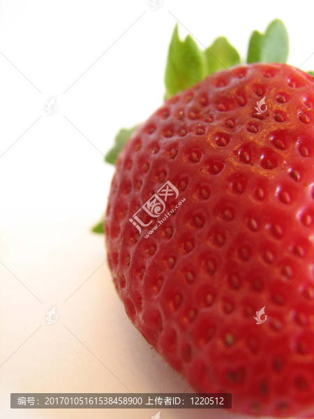 草莓