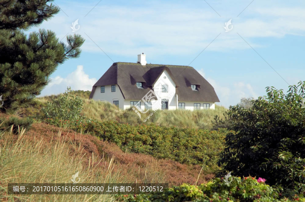 在山上的小屋