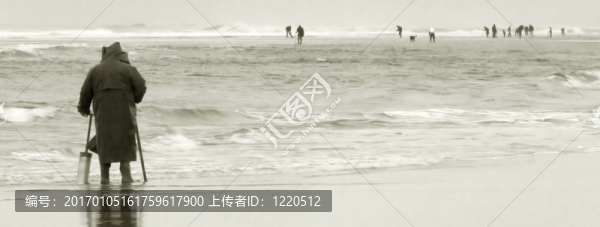 蟶子的挖掘機；俄勒岡海岸