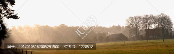 全景老農(nóng)場
