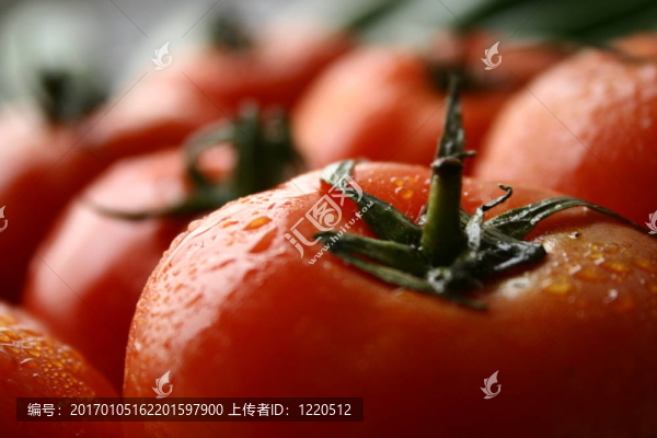 西紅柿