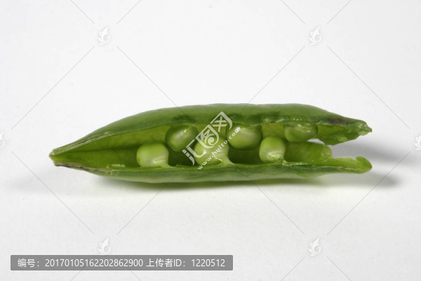 豌豆莢