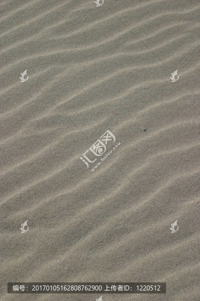 沙紋