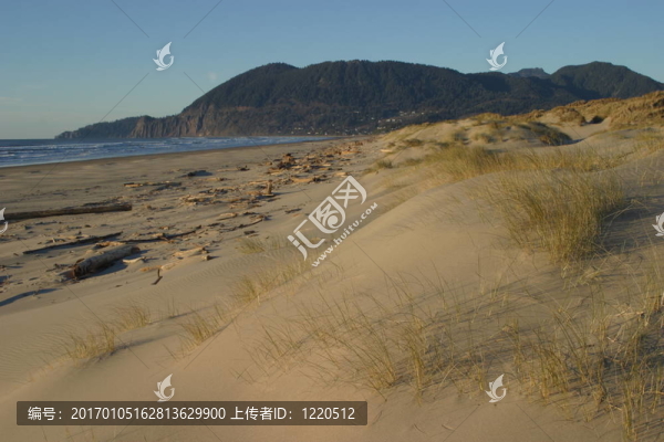 沙丘