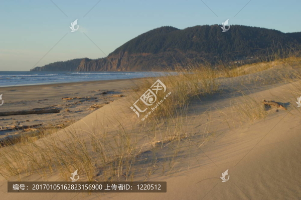 沙丘