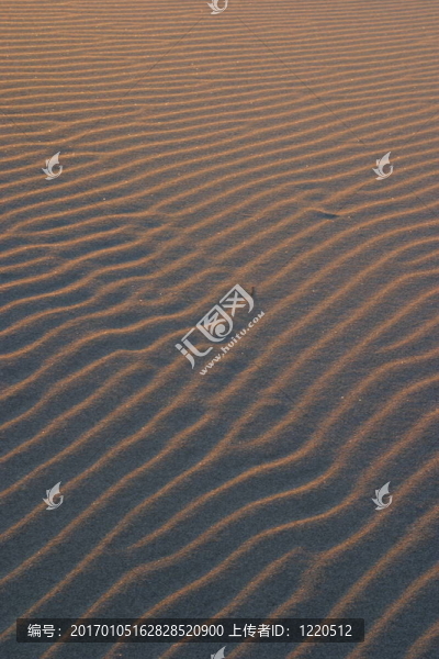 沙紋