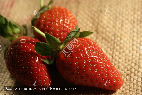 草莓果實