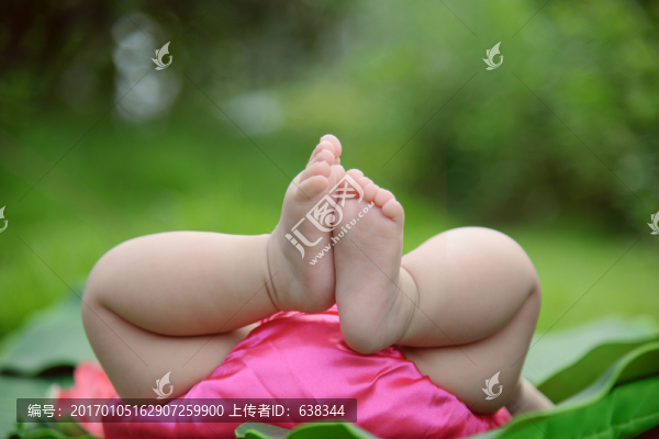 寶寶
