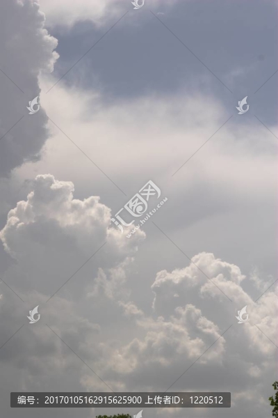 云樓
