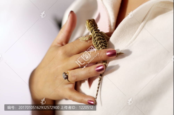 龍寶寶