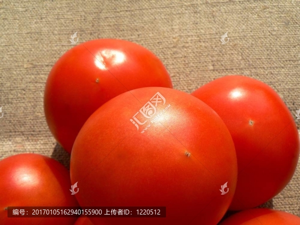 番茄