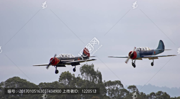 yak-52,S