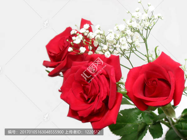 玫瑰花束