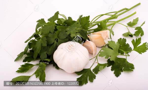 大蒜和香菜