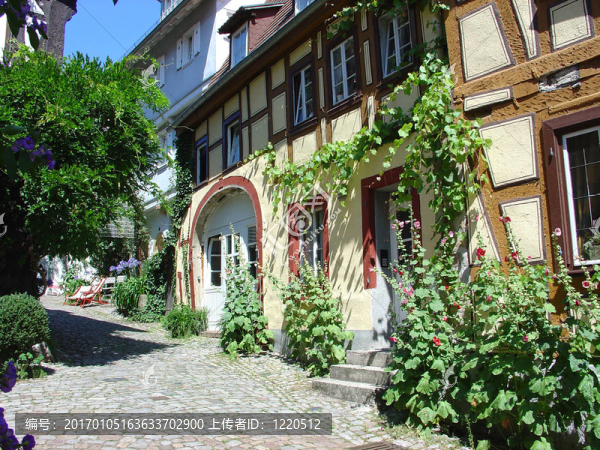 溫普芬房屋-匯圖網(wǎng) www.fosd68.com 溫普芬房屋