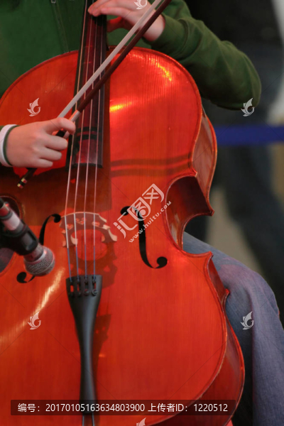 中提琴-匯圖網(wǎng) www.fosd68.com 中提琴