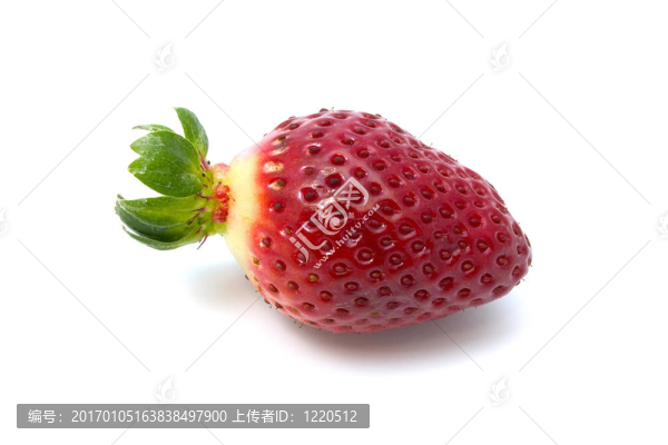 草莓