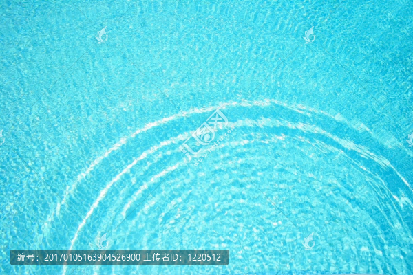 游泳池的水