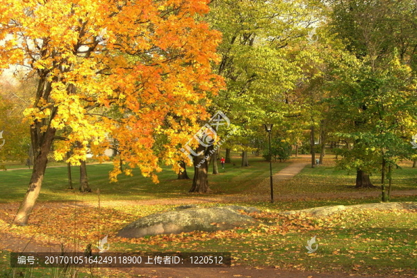 秋天的公園
