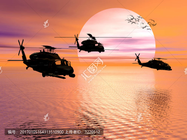 陸軍黑鷹直升機；