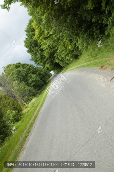 路